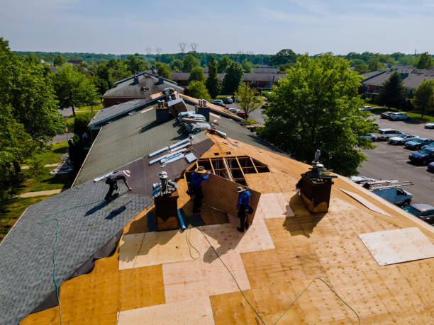 24/7 Emergency Roof Repair experts in Searles, MN